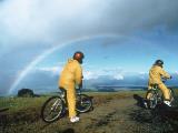 Downhill Mountain Biking Downhill Mountain Biking